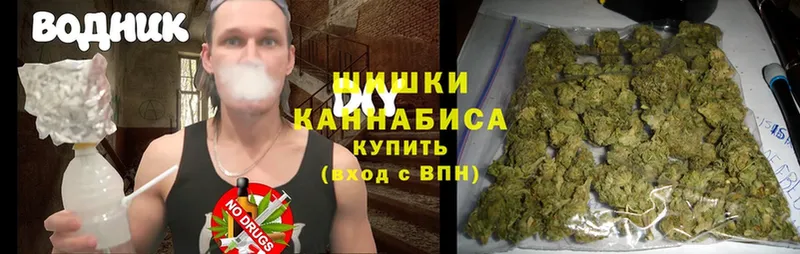 Бошки марихуана OG Kush  Орск 